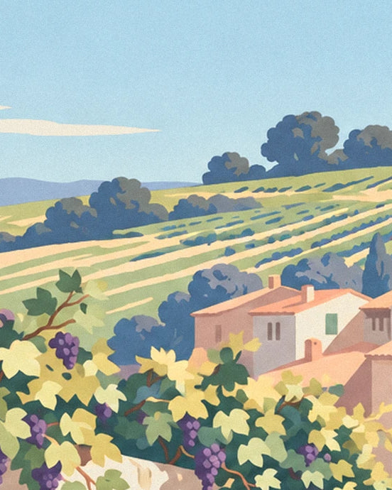 Les rangs de vignes sur les collines, derrière les maisons aux volets verts