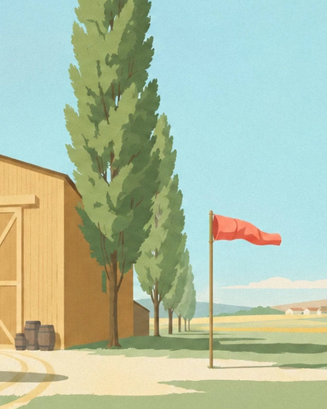 The wooden hangar, its 3 barrels, the row of poplars and the red windsock