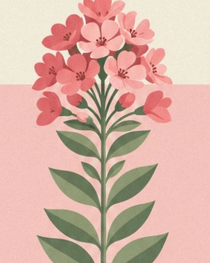 Une grappe de fleurs roses au sommet d’une tige aux feuilles vertes, sur fond bicolore