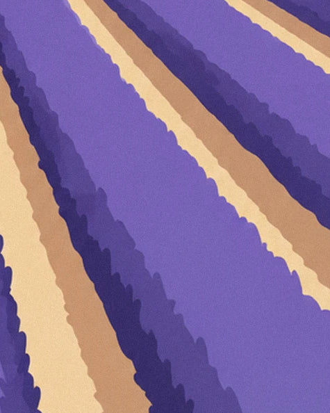 Streifen aus violettem Lavendel und ihre tiefvioletten Schatten, getrennt durch sandfarbene Wege