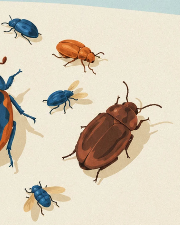 Petits coléoptères bleus, orange et brun roux sur fond crème, avec 2 mouches aux ailes dorées