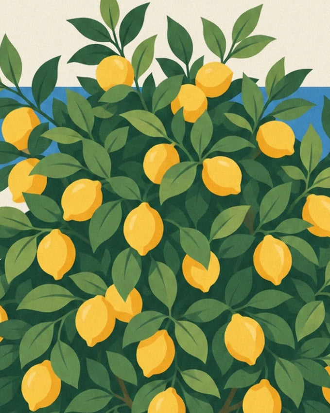 Des citrons jaunes au milieu d’un feuillage dense, devant une bande de ciel bleu