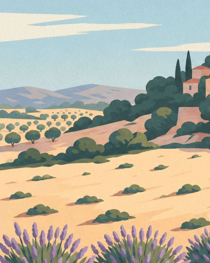 The olive trees in golden fields, below the hill and lavender