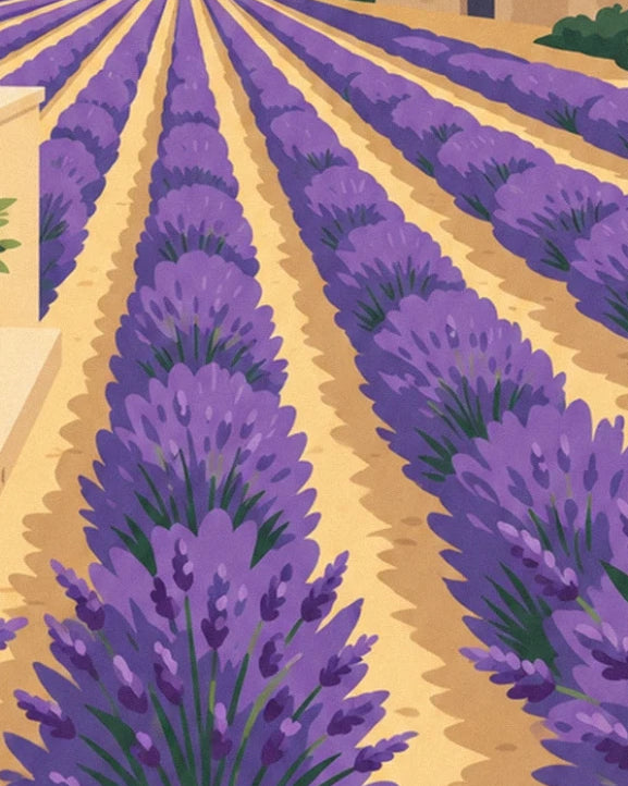 Reihen blühenden violetten Lavendels, die sich über goldene Erde bis zum Horizont erstrecken