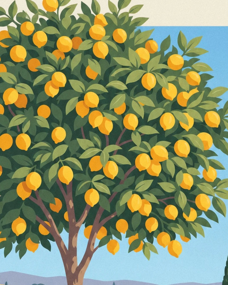 Ein Zitronenbaum voller gelber Früchte zwischen grünen Blättern unter blauem Himmel