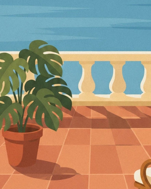 The monstera in a terracotta pot on the orange terrace tiles
