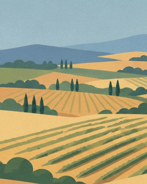 Hills of golden wheat, slender cypresses and green rows in the Tuscan countryside