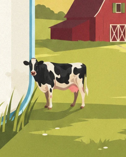 A black and white cow with a pink udder in the grass in front of the red barn