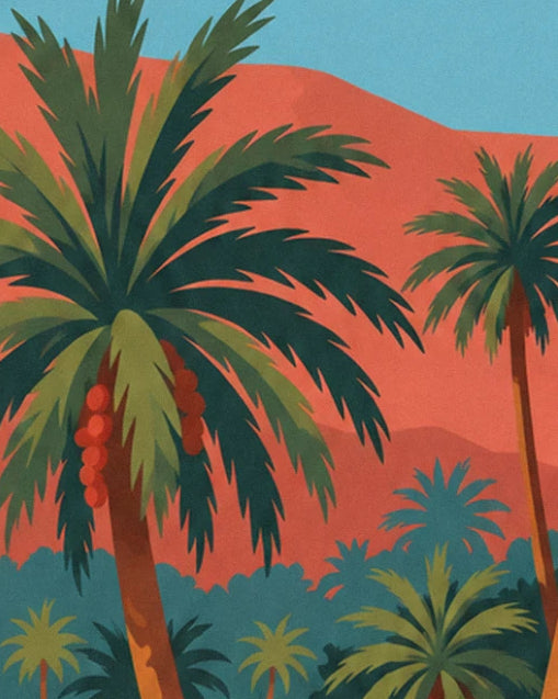 Eine Palme voller roter Datteln vor den ockerfarbenen Felsen des Drâa