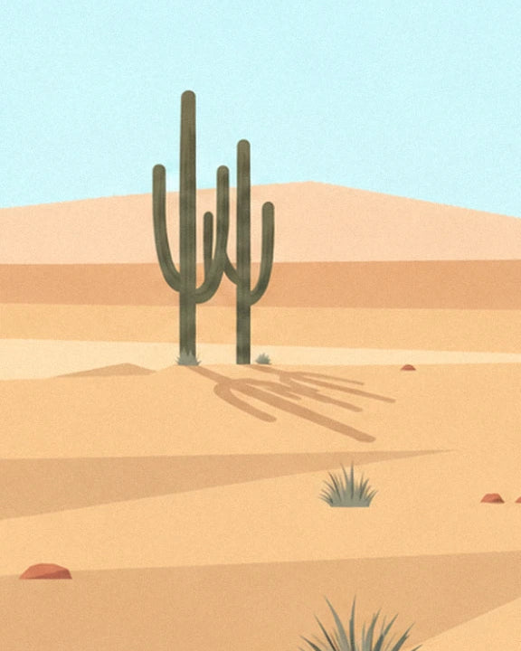 Ein hoher Kaktus mit 3 Armen und sein langer Schatten auf den hellen Sanddünen