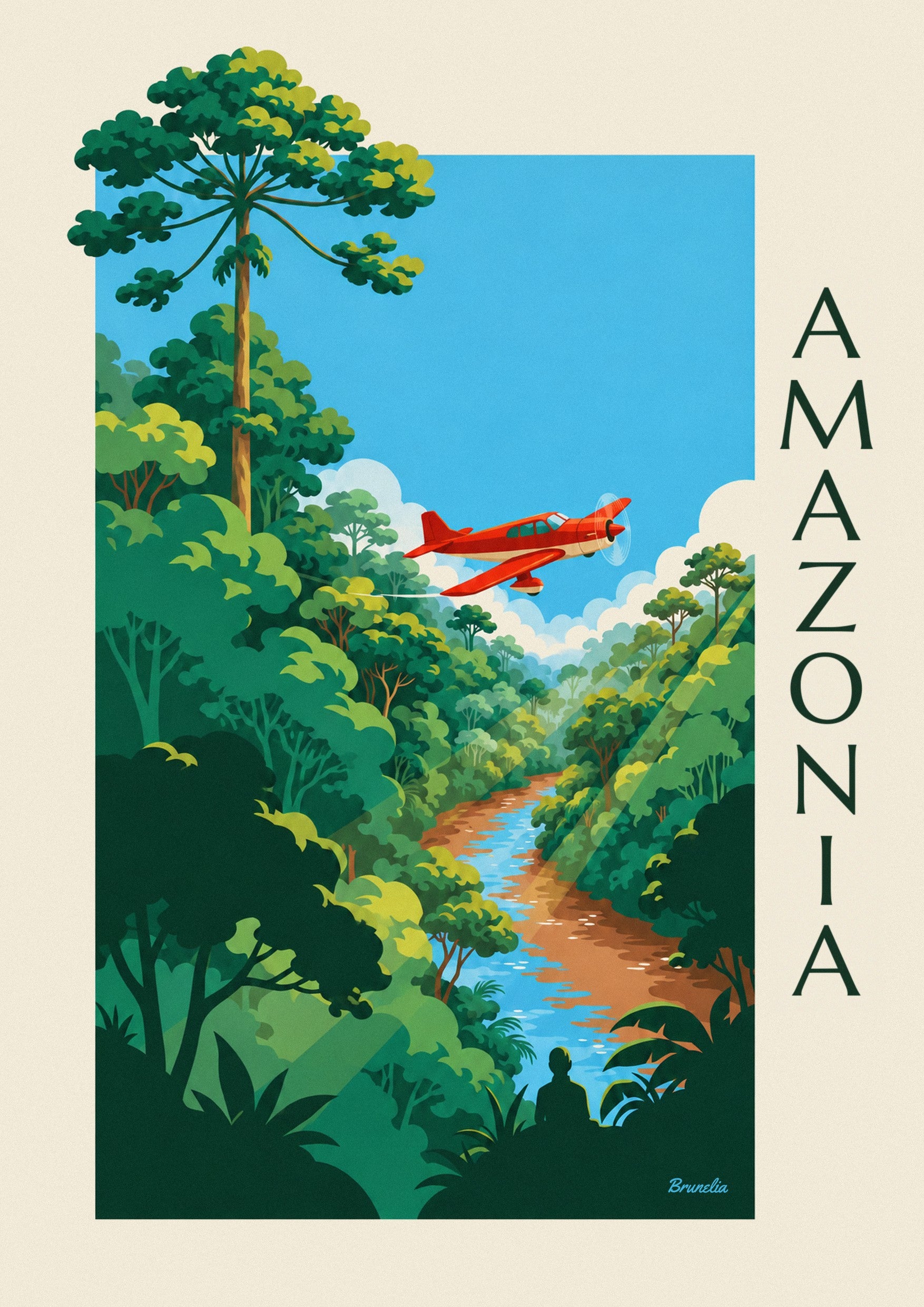 Poster Propellerflugzeug über dem Amazonas-Regenwald: Detail in Nahaufnahme
