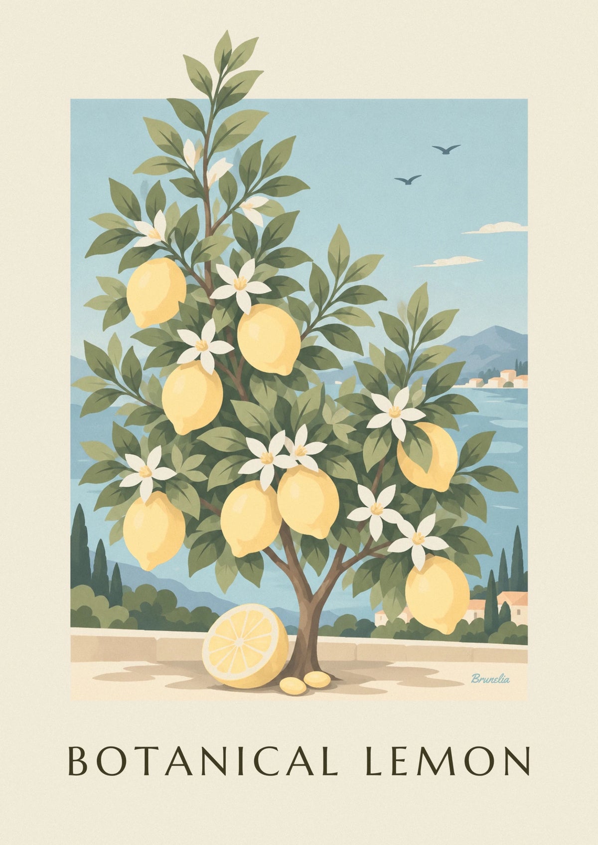 Affiche citronnier Citrus limon en planche botanique
