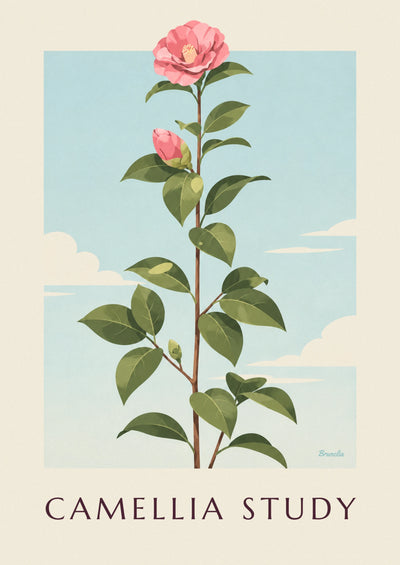 Affiche planche botanique de camélia rose en fleur : l'affiche entière
