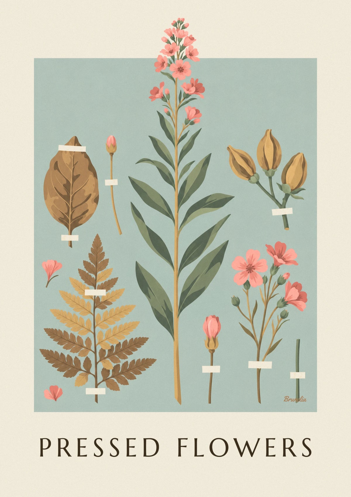 Poster Herbarium mit getrockneten Pflanzen und Blüten auf cremefarbenem Papier