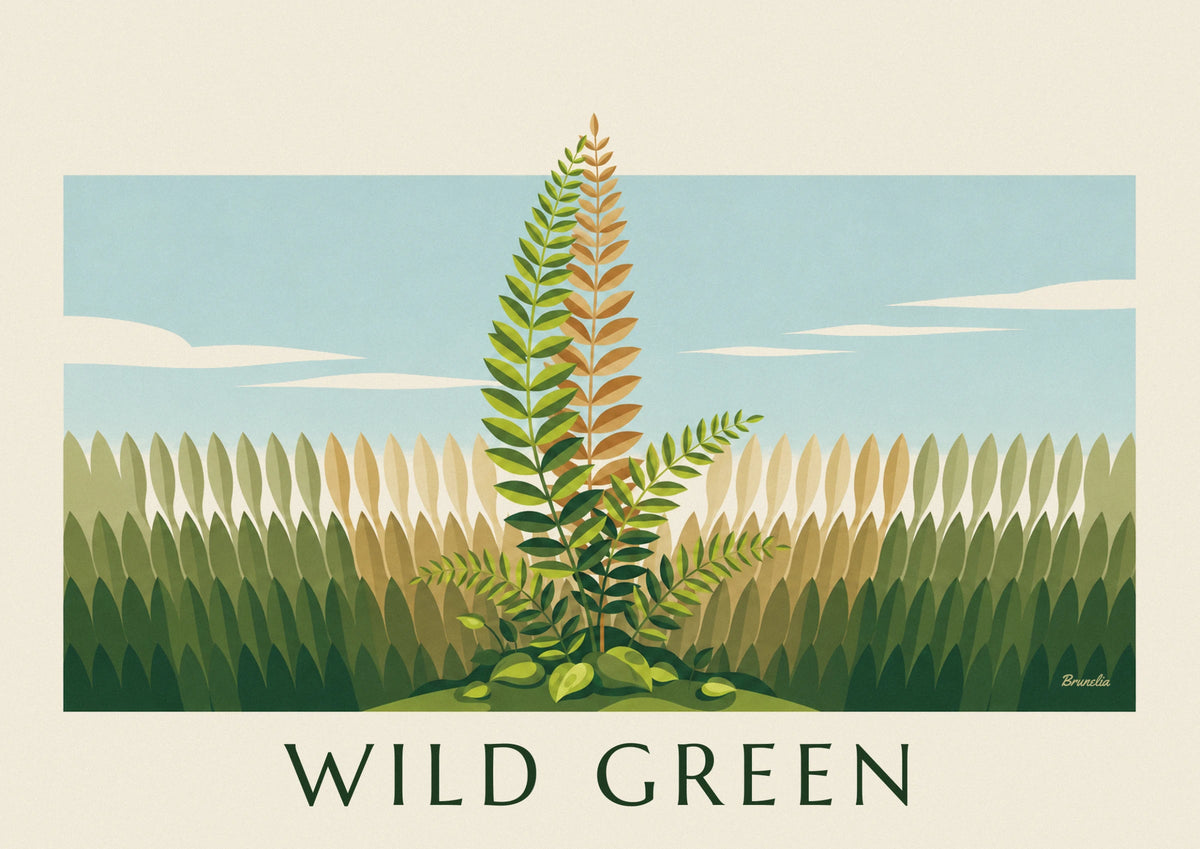 Poster botanische Tafel grüner Farn, naturkundliche Studie