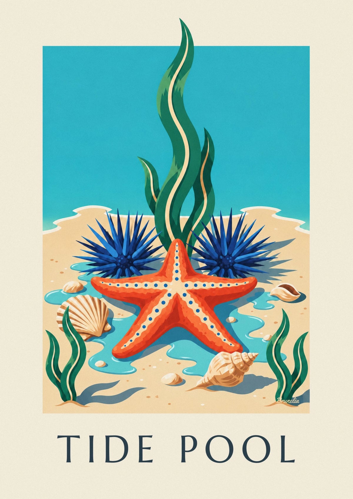Poster Seestern und Meeresfauna der Küste von Kapstadt