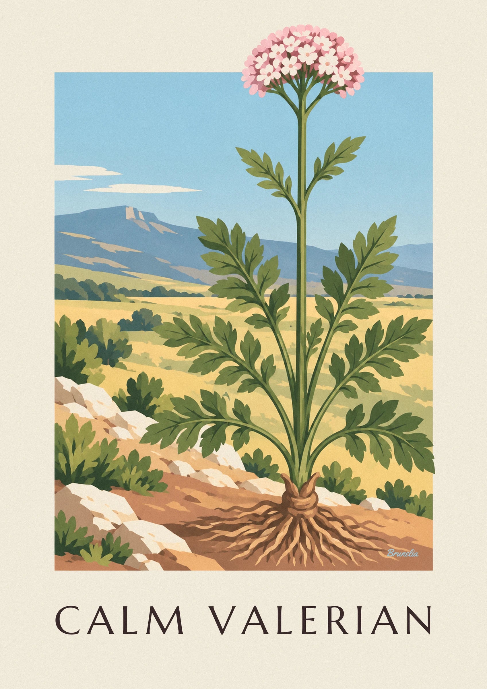 Valerian medicinal plant poster: close-up detail