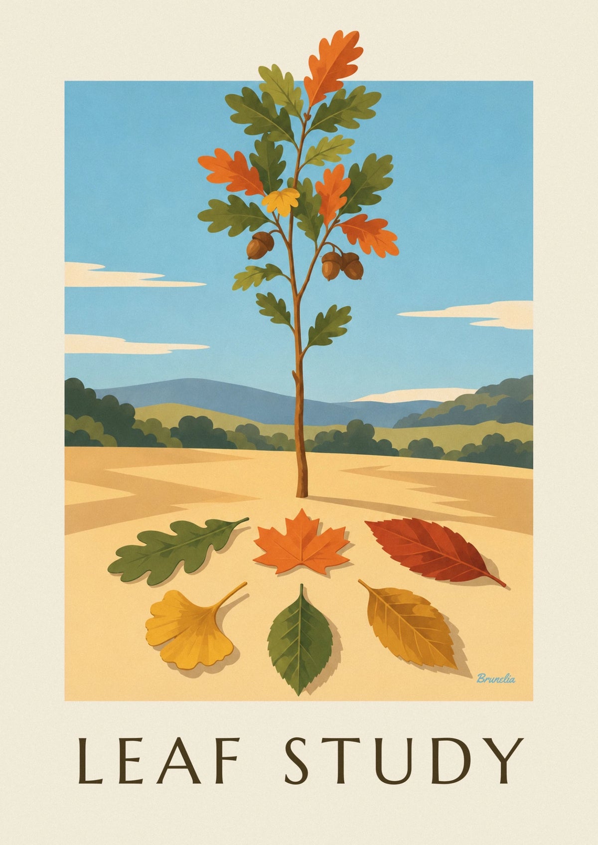 Affiche planche naturaliste de feuilles d'arbres