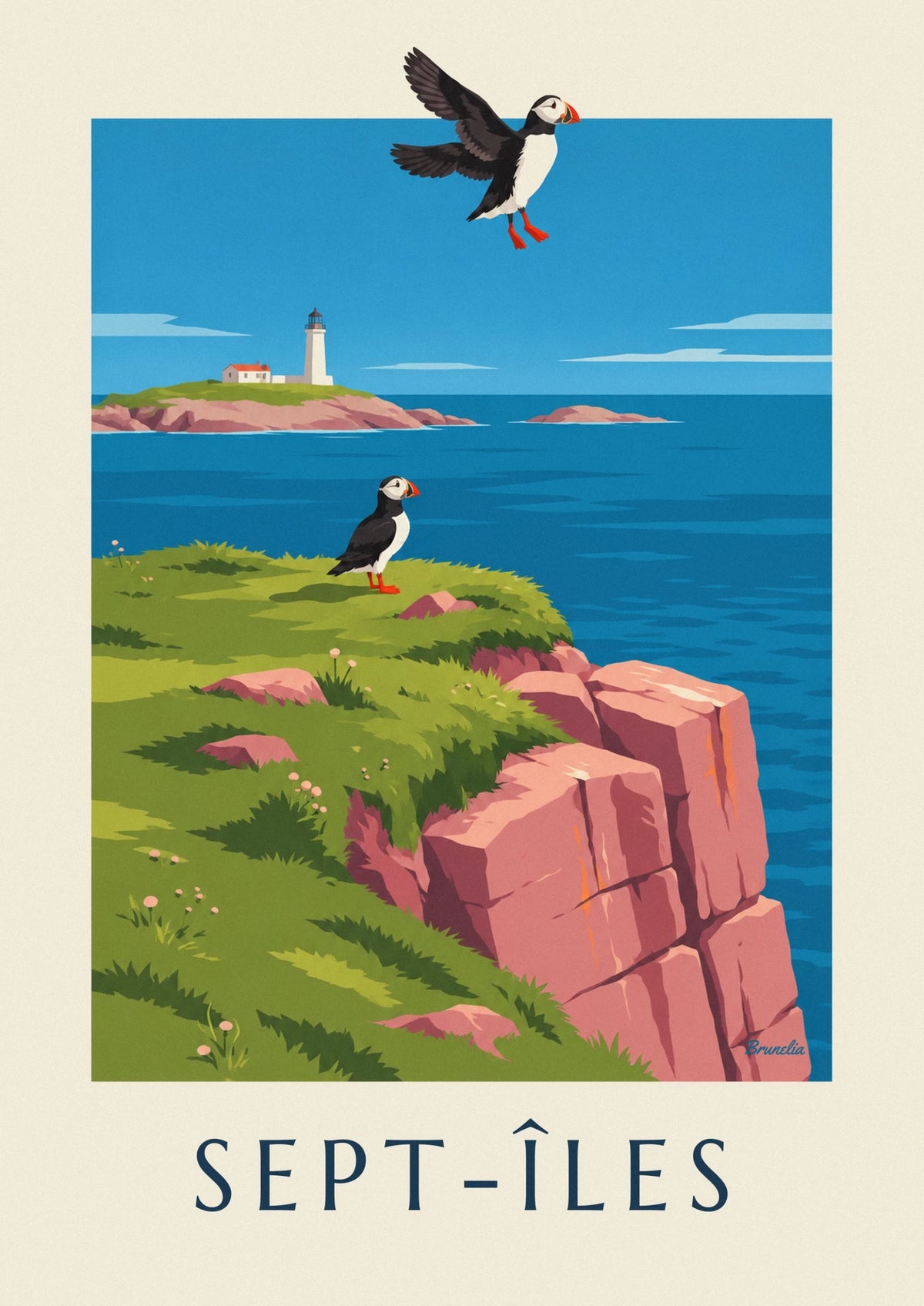 Poster Papageitaucher auf den Klippen der Sept-Îles